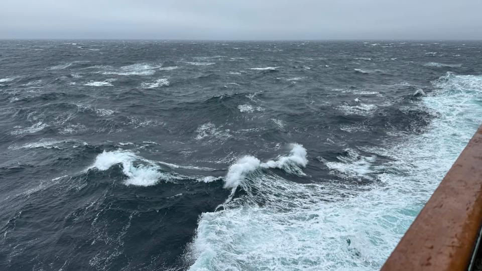 greenland sea