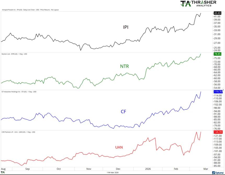 The Chart Report