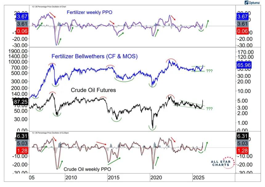 The Chart Report