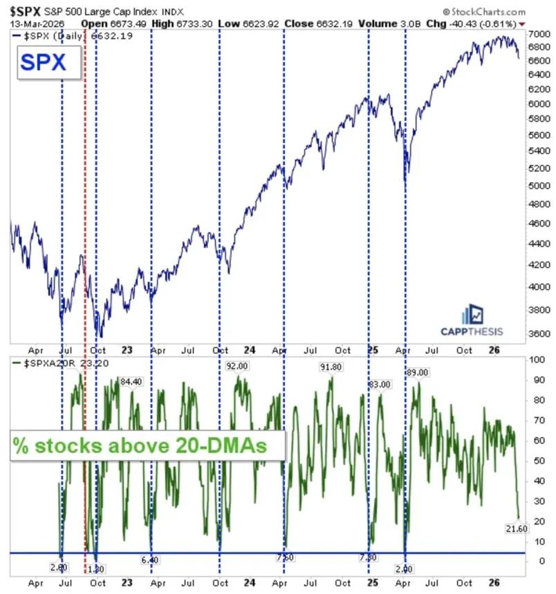 The Chart Report