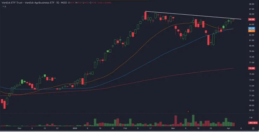 The Chart Report