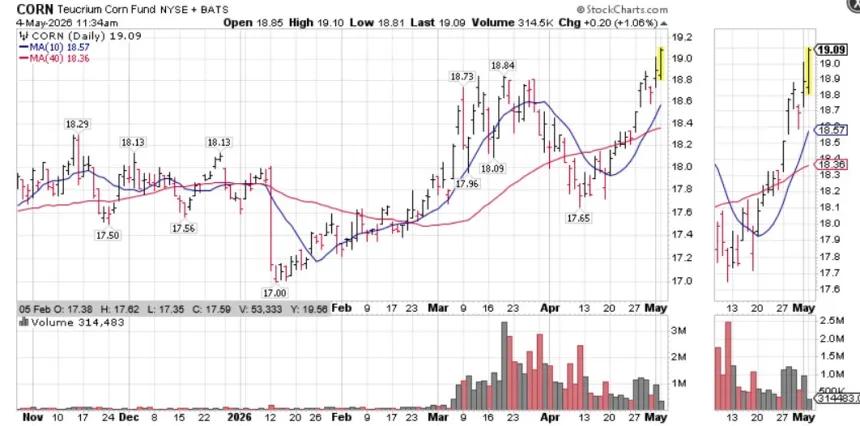 The Chart Report