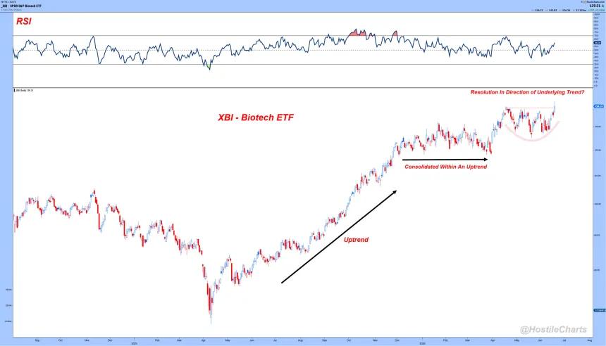 The Chart Report