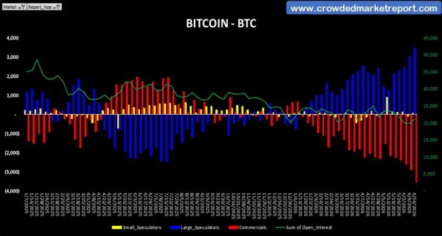 The Chart Report